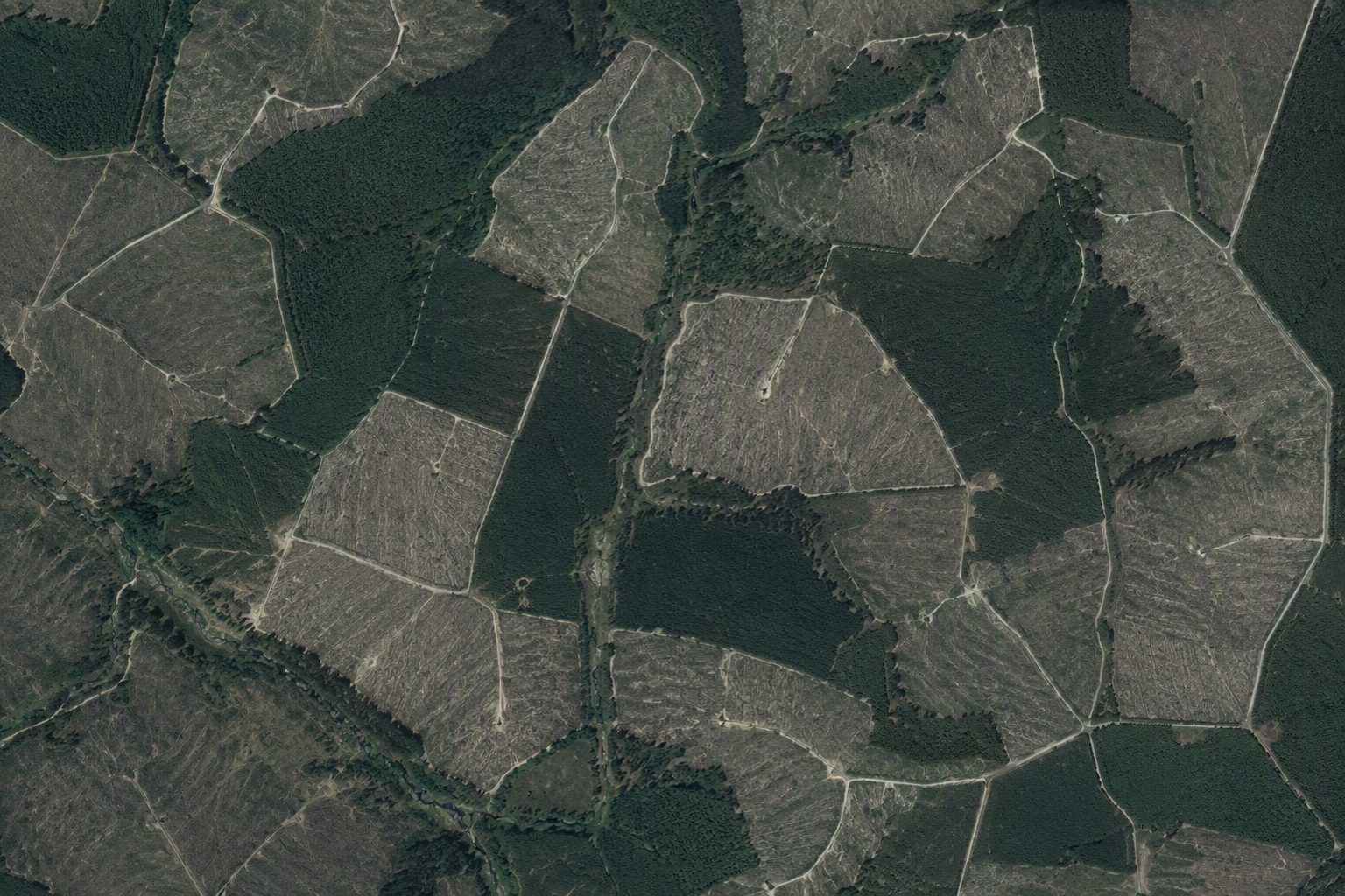 Wood — aerial view of production landscape